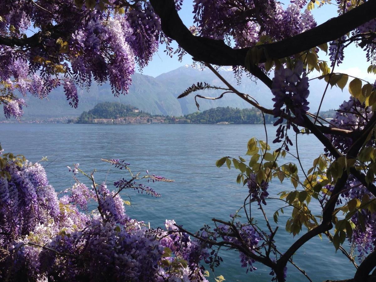 Rosa Dei Venti - Aparment In The Heart Of Bellagio With Parkingアパートメント 部屋 写真